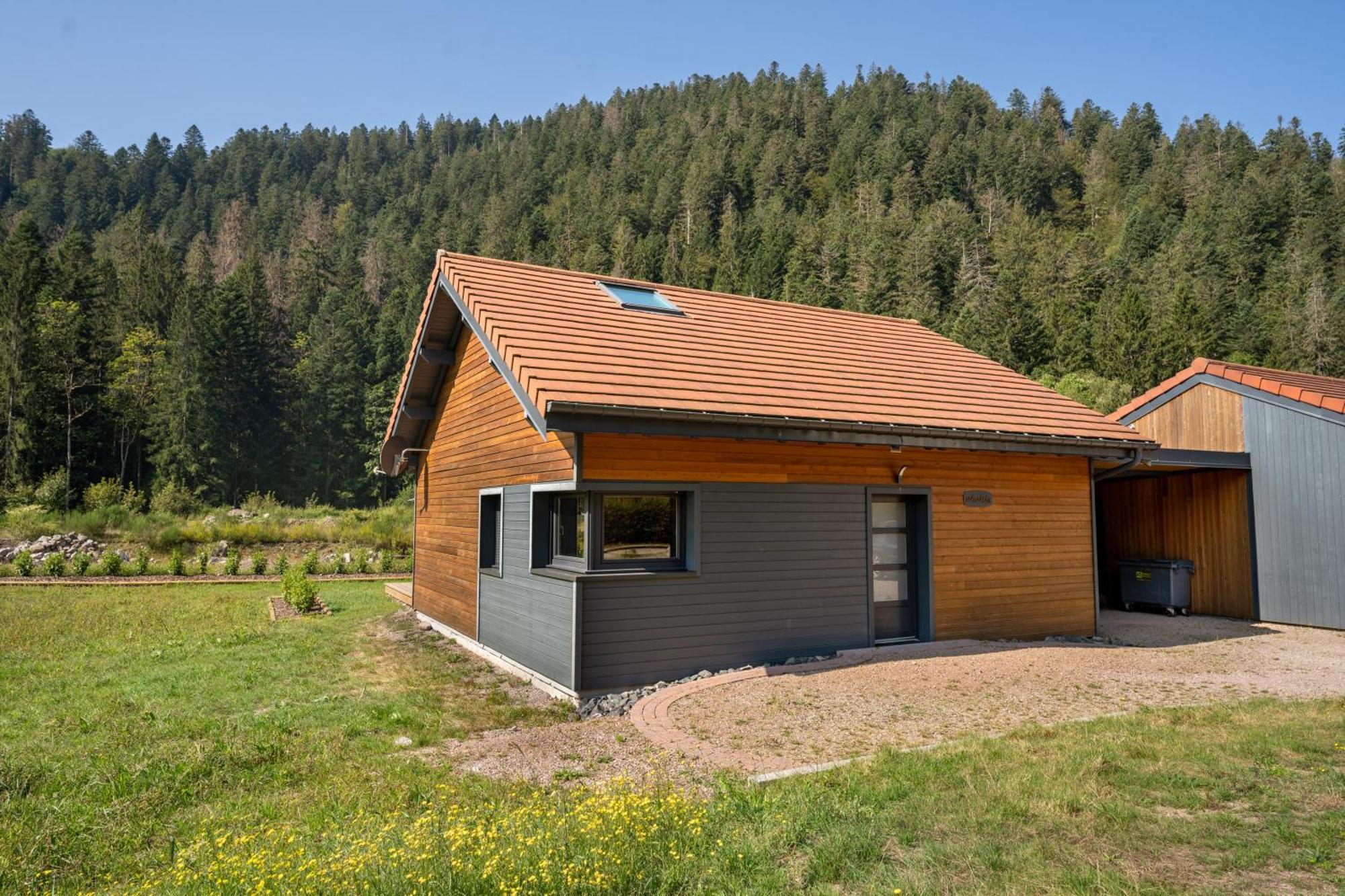 Chalet Nemesia Avec Spa A Gérardmer Esterno foto